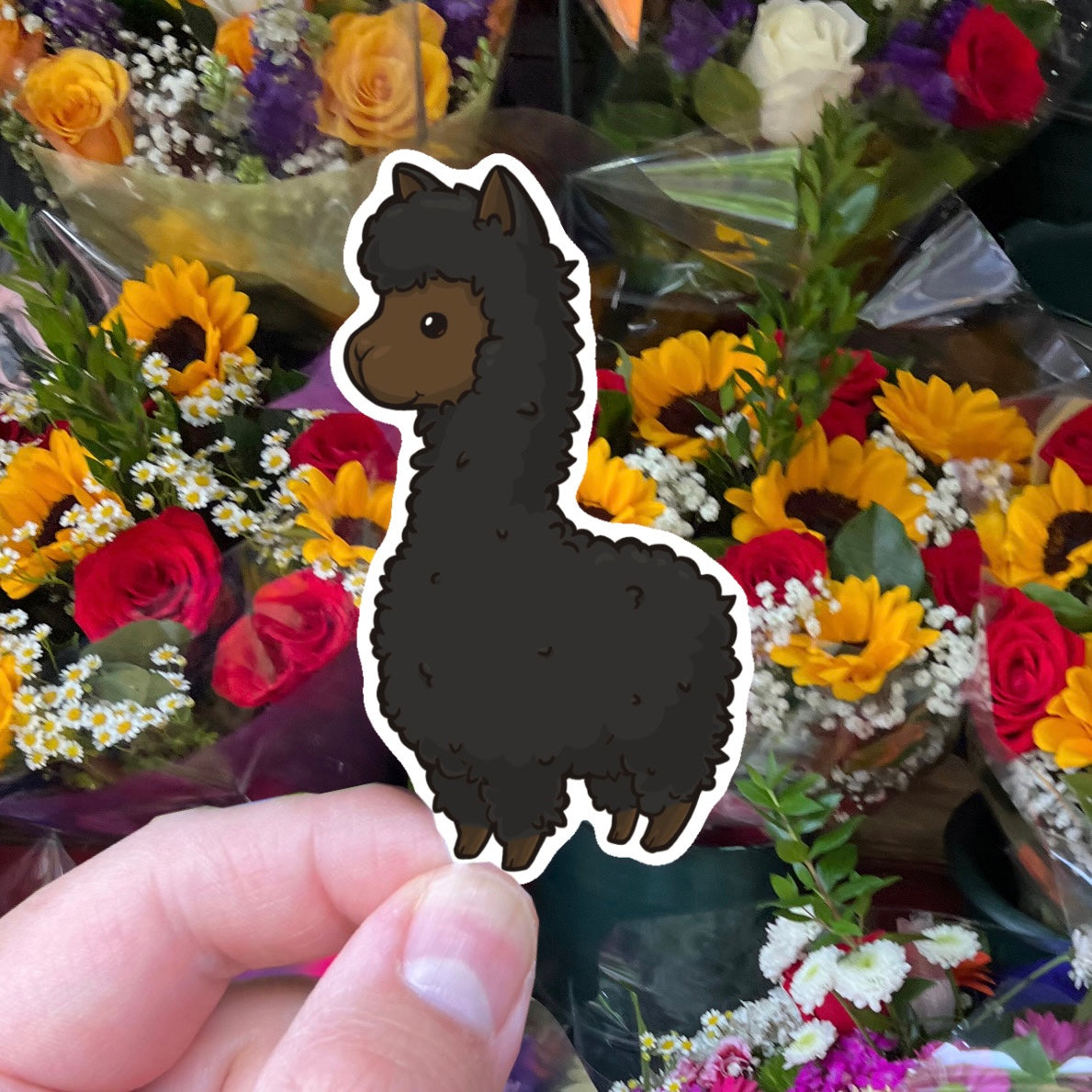 Alpaca