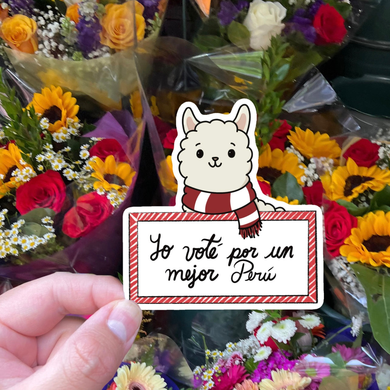 Yo voté por un mejor Perú